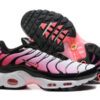 Nike Air Max Plus Tn Women （36-40）
