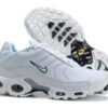 Nike Air Max Plus Tn-T002（36-46）