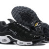 Nike Air Max Plus Tn-T004（36-46）