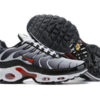 Nike Air Max Plus Tn-T011（40-46）