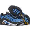 Nike Air Max Plus Tn-T016（40-46）