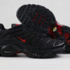 Nike Air Max Plus Tn-T010（40-46）