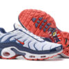 Nike Air Max Plus Tn-T019（40-46）