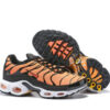 Nike Air Max Plus Tn-T022（40-46）