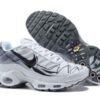 Nike Air Max Plus Tn-T009（40-46）