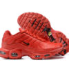 Nike Air Max Plus Tn-T026（40-46）