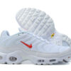 Nike Air Max Plus Tn-T036（40-46）