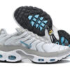 Nike Air Max Plus Tn-T044（40-46）