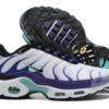 Nike Air Max Plus Tn-T072（40-46）