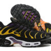 Nike Air Max Plus Tn-T070（40-46）