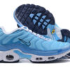 Nike Air Max Plus Tn-T089（40-46）