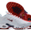 Nike Air Max Plus Tn-T112（40-46）