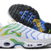 Nike Air Max Plus Tn-T117（40-46）
