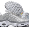Nike Air Max Plus Tn-T123（40-46）