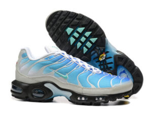 Nike Air Max Plus Tn-T140（40-46）