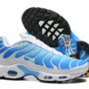 Nike Air Max Plus Tn-T143（40-46）