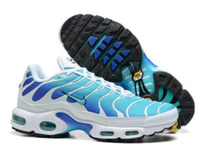 Nike Air Max Plus Tn-T146（40-46）