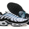 Nike Air Max Plus Tn （40-46）