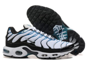 Nike Air Max Plus Tn （40-46）