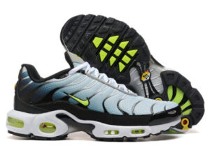 Nike Air Max Plus Tn （40-46）