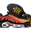 Nike Air Max Plus Tn （40-46）