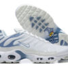 Nike Air Max Plus Tn （40-46）