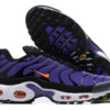 Nike Air Max Plus Tn （40-46）