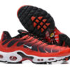 Nike Air Max Plus Tn （40-46）