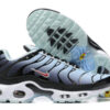 Nike Air Max Plus Tn （40-46）