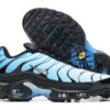 Nike Air Max Plus Tn （40-46）