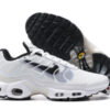 Nike Air Max Plus Tn （40-46）