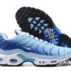 Nike Air Max Plus Tn （40-46）