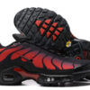 Nike Air Max Plus Tn （40-46）