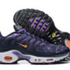 Nike Air Max Plus Tn （40-46）