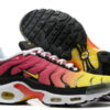 Nike Air Max Plus Tn （40-46）