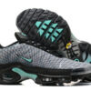 Nike Air Max Plus Tn （40-46）