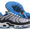 Nike Air Max Plus Tn （40-46）