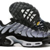 Nike Air Max Plus Tn （40-46）