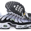Nike Air Max Plus Tn （40-46）