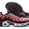 Nike Air Max Plus Tn （40-46）