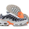 Nike Air Max Plus Tn （40-46）