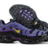 Nike Air Max Plus Tn （40-46）