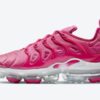 Nike Air VaporMax Plus TN