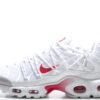 NIKE AIR MAX PLUS TN 2 EUR40-46