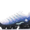 Nike Air VaporMax Plus TN