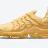 Nike Air VaporMax Plus TN